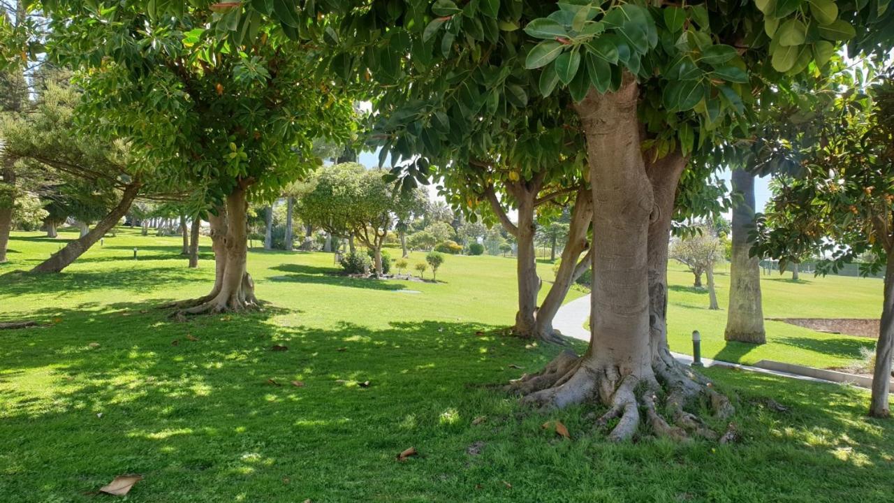 Torres De Aloha 2 Bdr Puerto Banus Daire Marbella Dış mekan fotoğraf